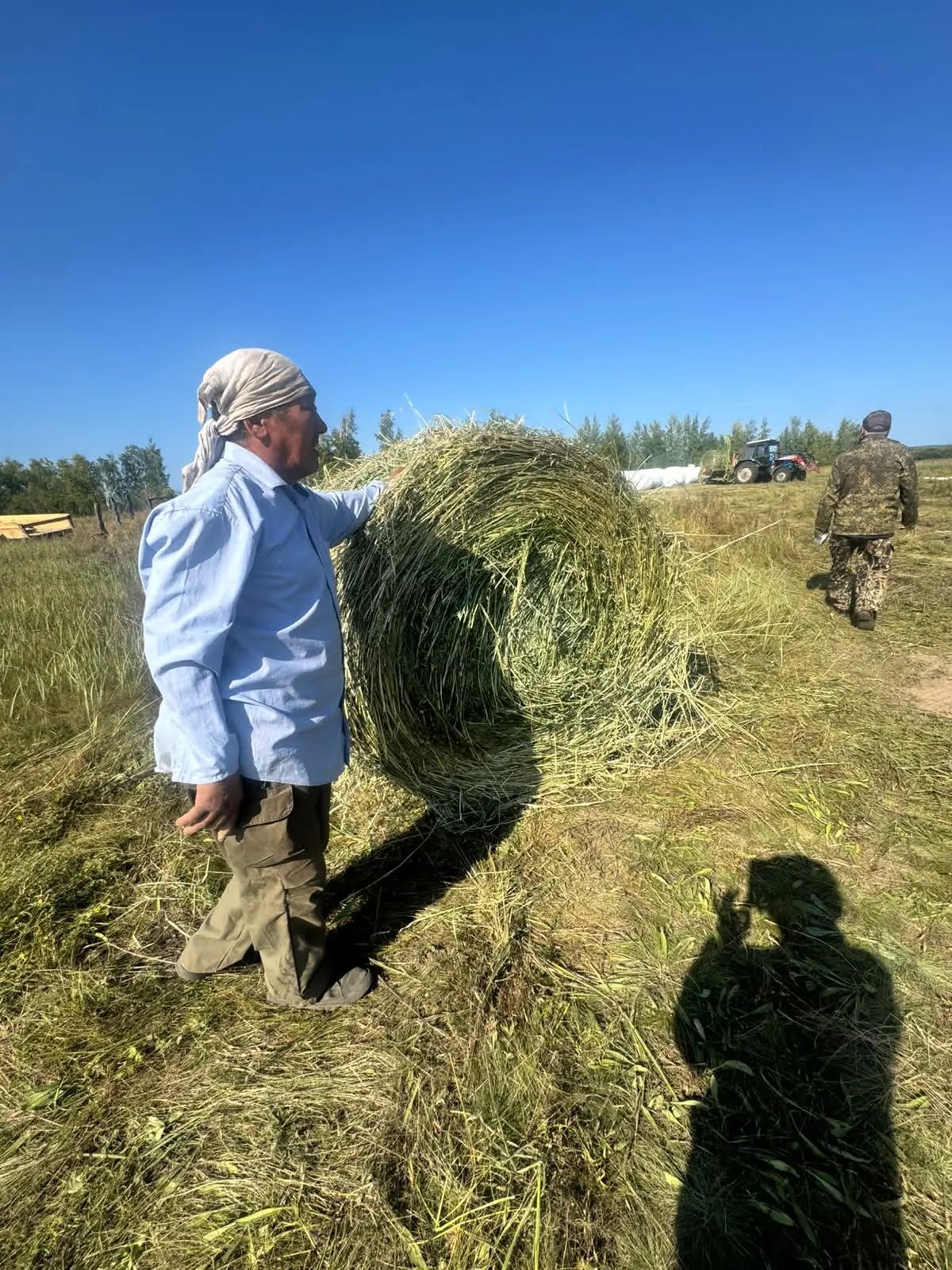 Без названия 2