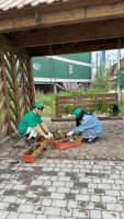 Акция «Зеленый вызов» продолжает озеленять город