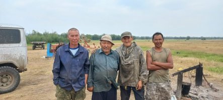Сенокос отсрочки не дает