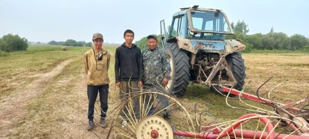 Сенокос отсрочки не дает