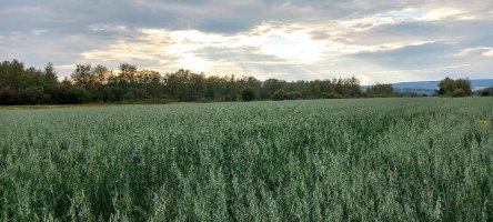 Под новый год олекминчане получили новый коровник