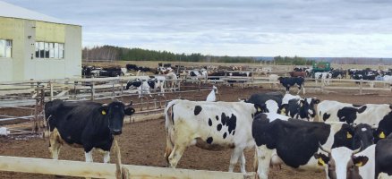 Бүгүн Тулагы Киллэмҥэ баар сылы эргиччи үлэлиир 