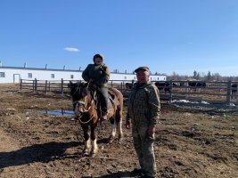 В хозяйствах Хангаласского улуса продолжается массовый переезд на летние фермы