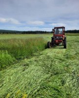 Началась сенокосная страда-2025