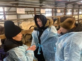 Агрохолдинг «Туймаада» провел очередной Межрегиональный семинар по вопросам развития животноводства