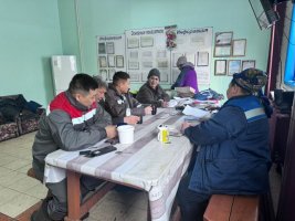 Специалисты «Сахаагроплем» проверяют родословные коров-холмогорок в «Кладовой Олекмы»